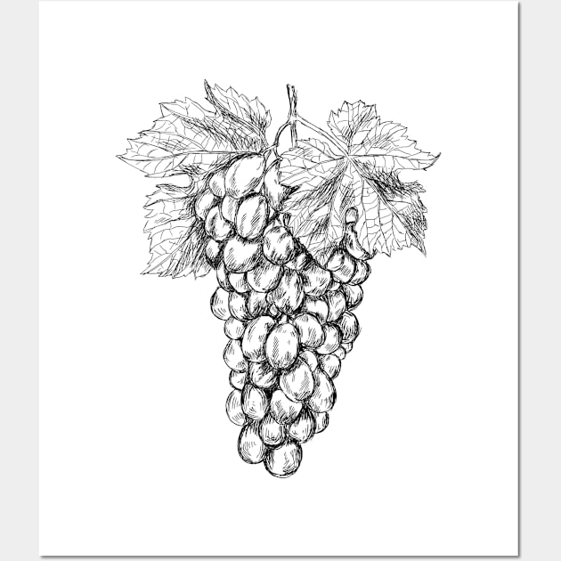 Grapes image Wall Art by rachelsfinelines